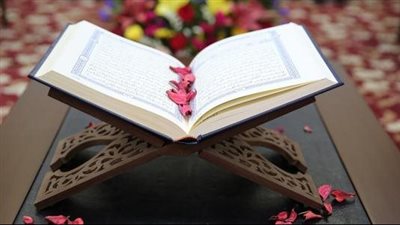مشكلة عضوه محتاجة رأي صريح وبدون كذ*ب