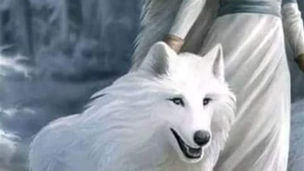 موقع أيام نيوز