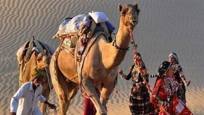 رواية الجواز بسبب الميراث جميع الفصول كاملة بقلم الكاتبة هويدا زغلول