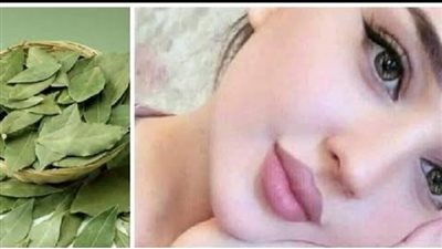 معجزة ورق الغار ستجعل بطنك مسطحا وشعرك كثيف