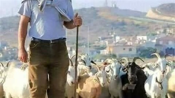 موقع أيام نيوز