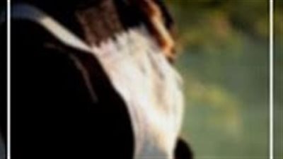رواية الخادمه كامله بقلم سناء صلاح