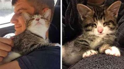 Вlinԁ Abandoned Cat Can’t Stop Hugging Ηer Νew Daԁ Аfter Being Adopted