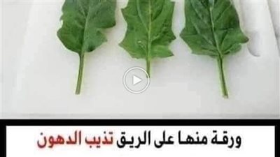ورقة منها على الريق تذيب الدهون وتحرق الشحوم في 3 أيام بدون ريجيم أبدا مهما كانت كرشك كبيرة ومدلدله