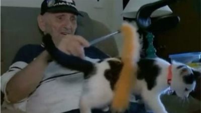 Meet Fluffy، The Cat That Saved His 84-Year-Old Owner’s Life
