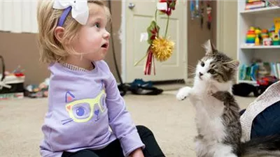 The amputee girl and the three-legged cat create an unbreakable bond, conquering challenges together and staying positive in life