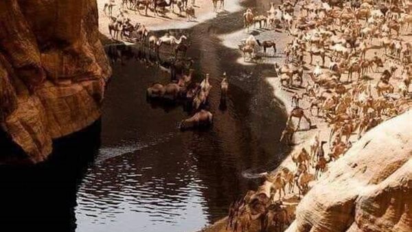 موقع أيام نيوز