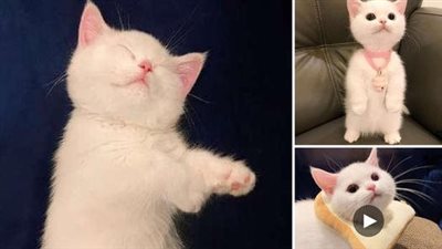 When you thought adorable couldn’t reach new heights he opened his eyes and proved you wrong