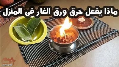 ماذا ېحدث عن حړق ورق الغار في المنزل