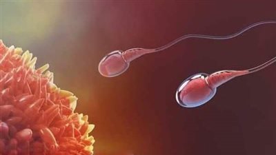 خلق من ماء دافق يخرج من بين الصلب والترائب .. ما هما الصلب والترائب ؟