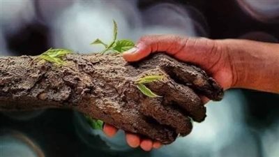 ما معنى قوله تعالى (ويل للمطففين )