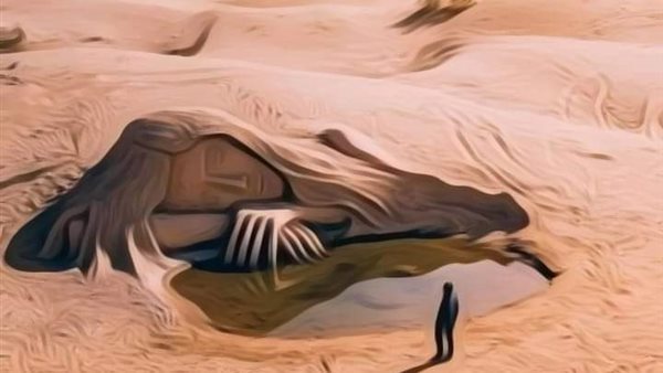 موقع أيام نيوز