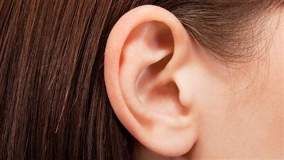 ما هو العضو في چسم الانسان الذي لا يكبر حجمه من الولادة وحتى الـوفـاة..؟ 