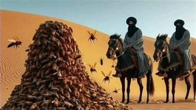 الصحابى الذى ارسل الله له جبل من النحل ليحميه