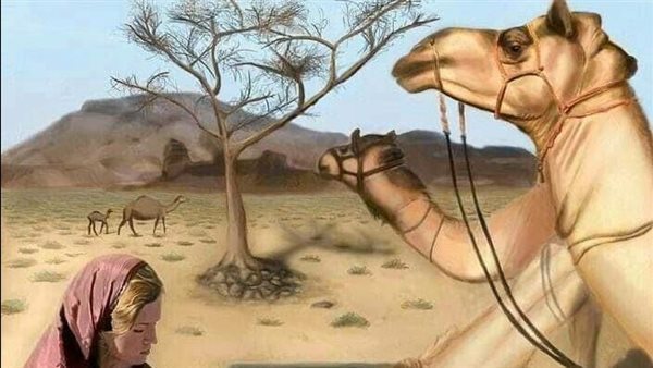 موقع أيام نيوز