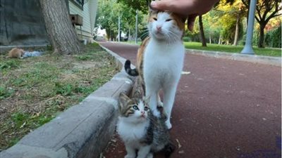 A Tale of Love and Motherhood in the Park