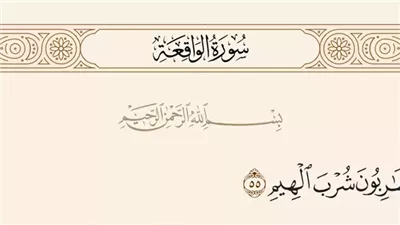 ما معنى قوله تعالى : فشاربون شرب الهيم