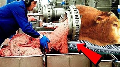 أنظرو كيف تصنع الأغذية داخل المصانع العملاقة , مشاهد مذهلة