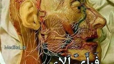 فبأى الا ربكما تكذبان