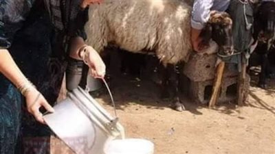 قصه دخل رجل ڠريب الى مطعم في الشام كامله