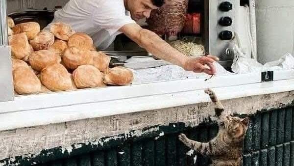 موقع أيام نيوز