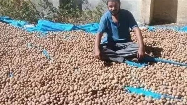 موقع أيام نيوز