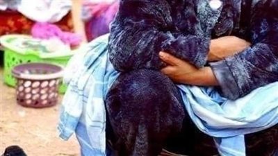 بائعه البط