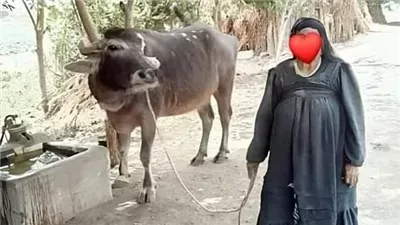 انا وجدتى بقلم وليد يسرى