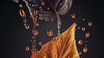 رواية دقات مؤتلفه بقلم زهرة الربيع