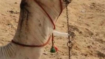 حُكم على أعرابي بالحبس واحتُجزَ في سجن