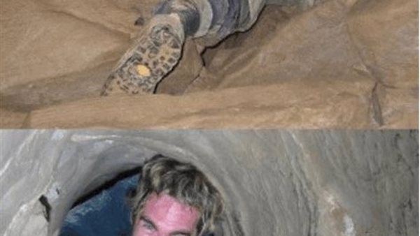 موقع أيام نيوز