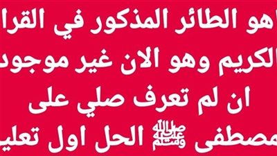 ماهو الطائر المذكور في القران الكريم وهو الان غير موجود ان لم تعرف صلي على المصطفى ﷺ