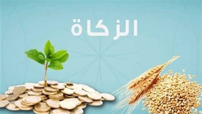 دار الإفتاء تحدد قيمة زكاة الفطر رمضان 2025