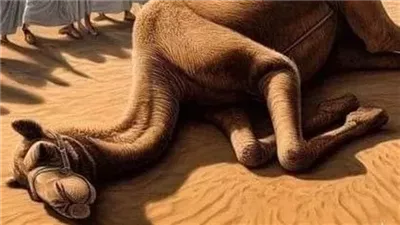 جاء نبى الله موسى مع قومه