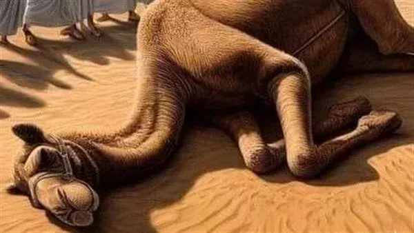 موقع أيام نيوز