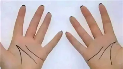 ما هو ســر ١٨ و٨١ الموجود في كف اليد هل تعلم سـر الخطوط في يدك