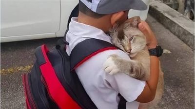 Before heading to school, the child bid farewell to his beloved cat, sharing heartfelt embraces filled with affection and longing.