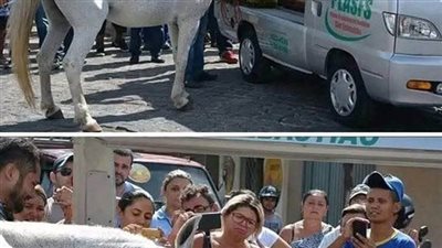 حصان حضر جنازة صاحبه الذي ټوفي بشكل مفاجئ في حاډث مروري