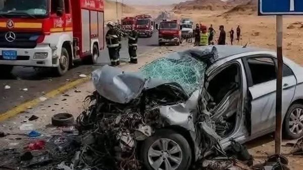 موقع أيام نيوز