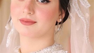 السند الفصل الاول