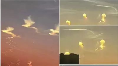 عاجل ‏تفعيل شبكات الإنذار المبكر