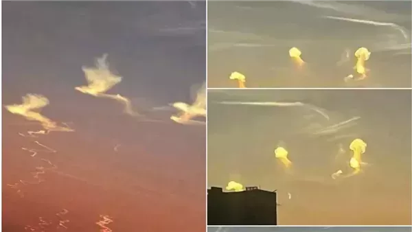 موقع أيام نيوز