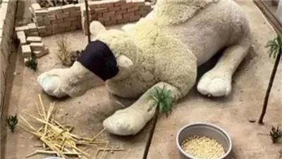 ضمير العالم المتحضر