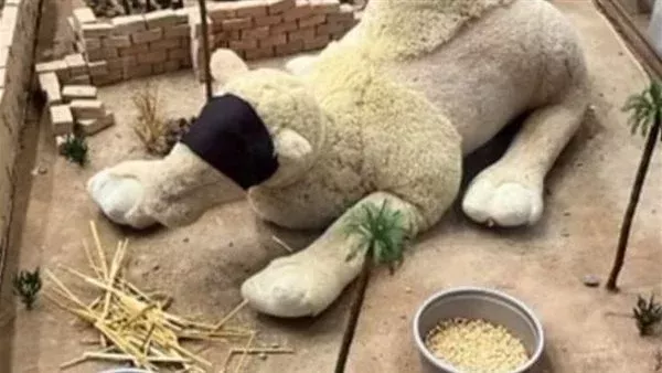 موقع أيام نيوز