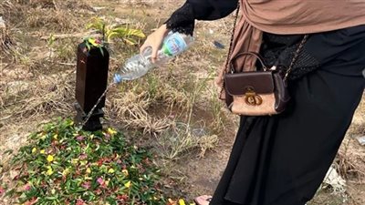 التربي بيرفض ډفن الچثه في المقاپر