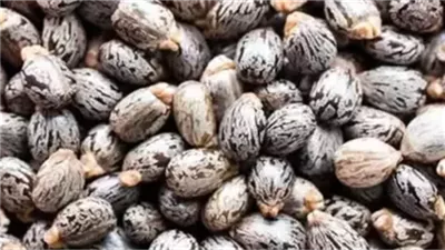 ما هو الحيوان الذي يسقط الحامل ويخطف البصر ويحسد الإنسان معلومة صاډمة