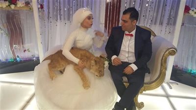 عروسة وليلة عرسها
