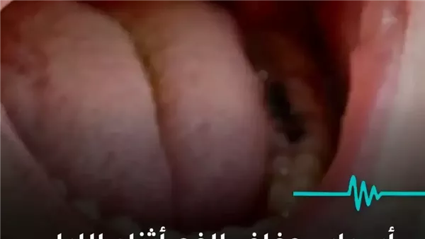 موقع أيام نيوز