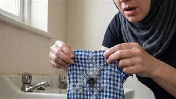 موقع أيام نيوز
