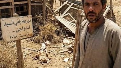 حـين عـاد الحـلم للحـياة كـاملة بقلـم منـي السـيد